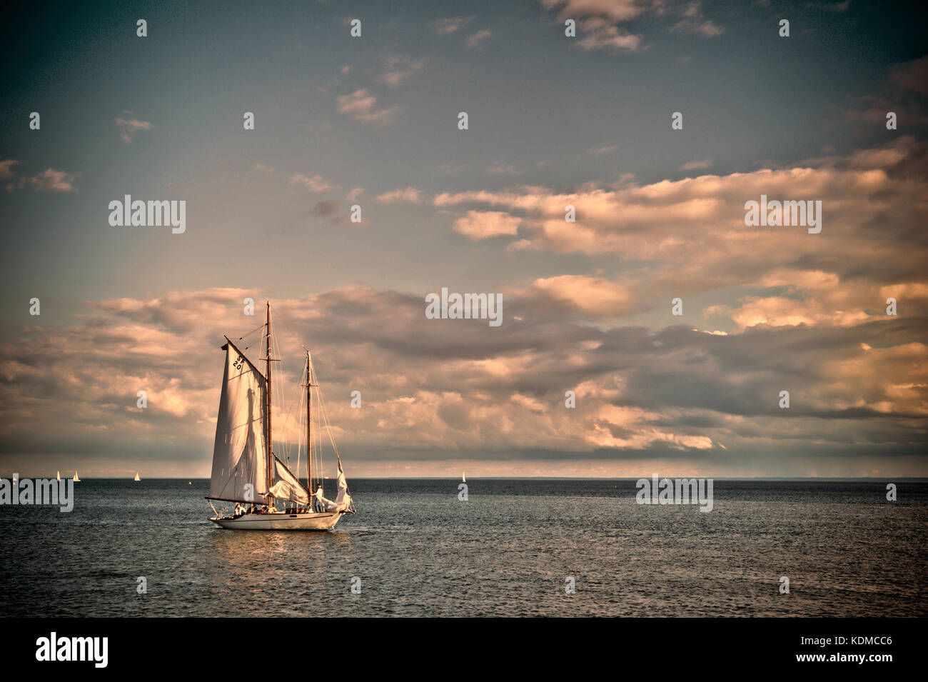 Yachts à voile sur le lac Ontario Banque D'Images