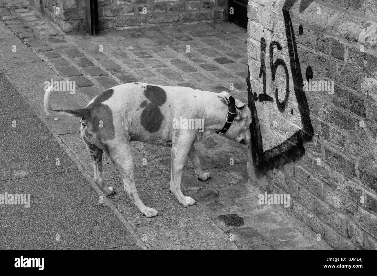 La Photographie de rue autour de Camden Town et Bethnal Green. Banque D'Images