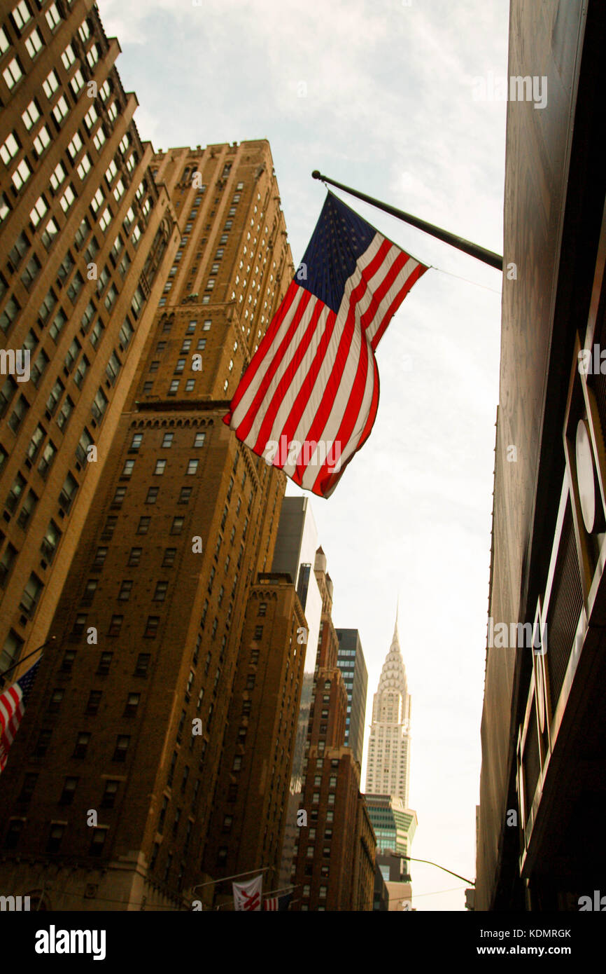 United States flag Banque D'Images