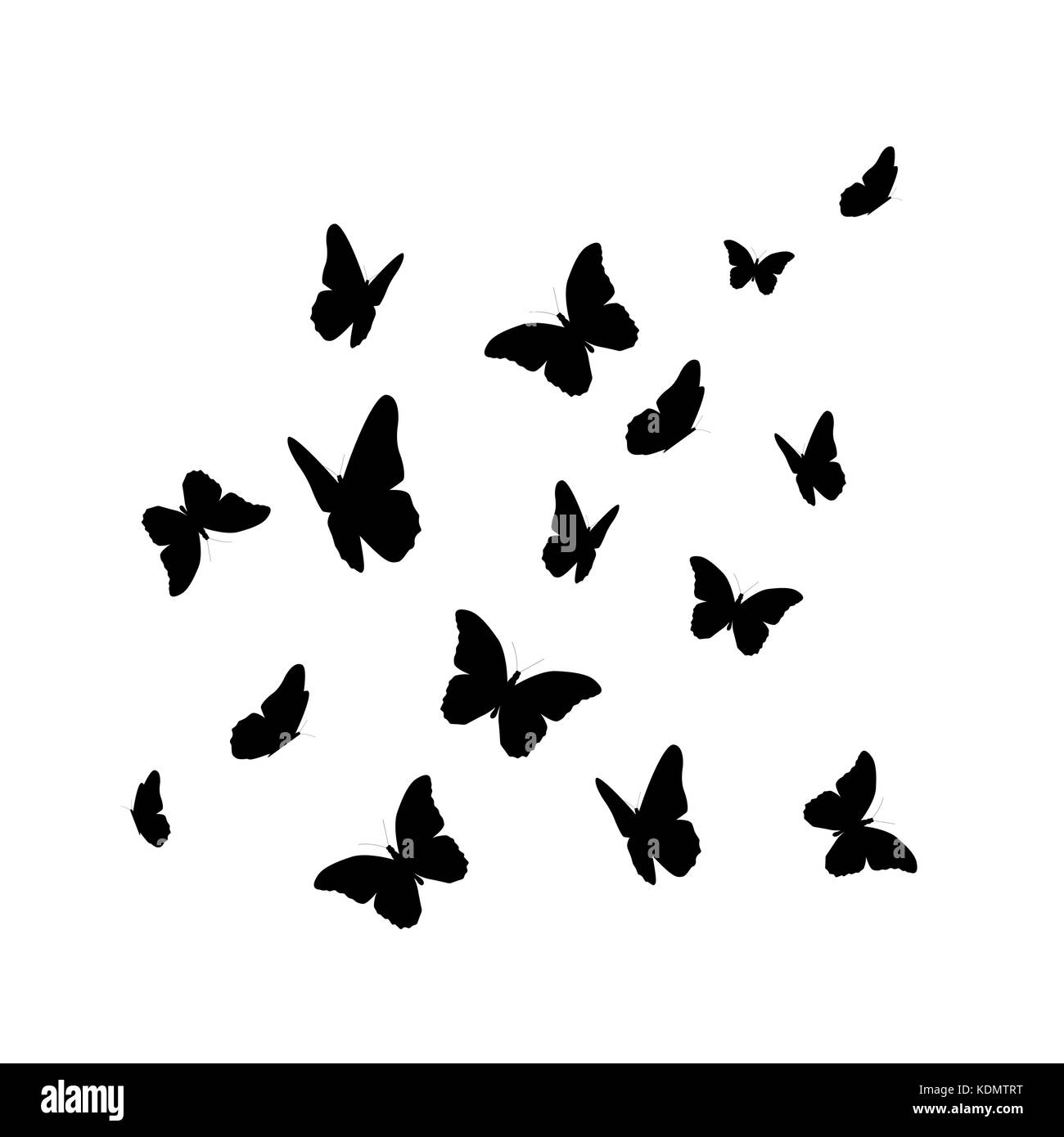 Beautifil silhouette papillon isolé sur fond blanc vect Illustration de Vecteur