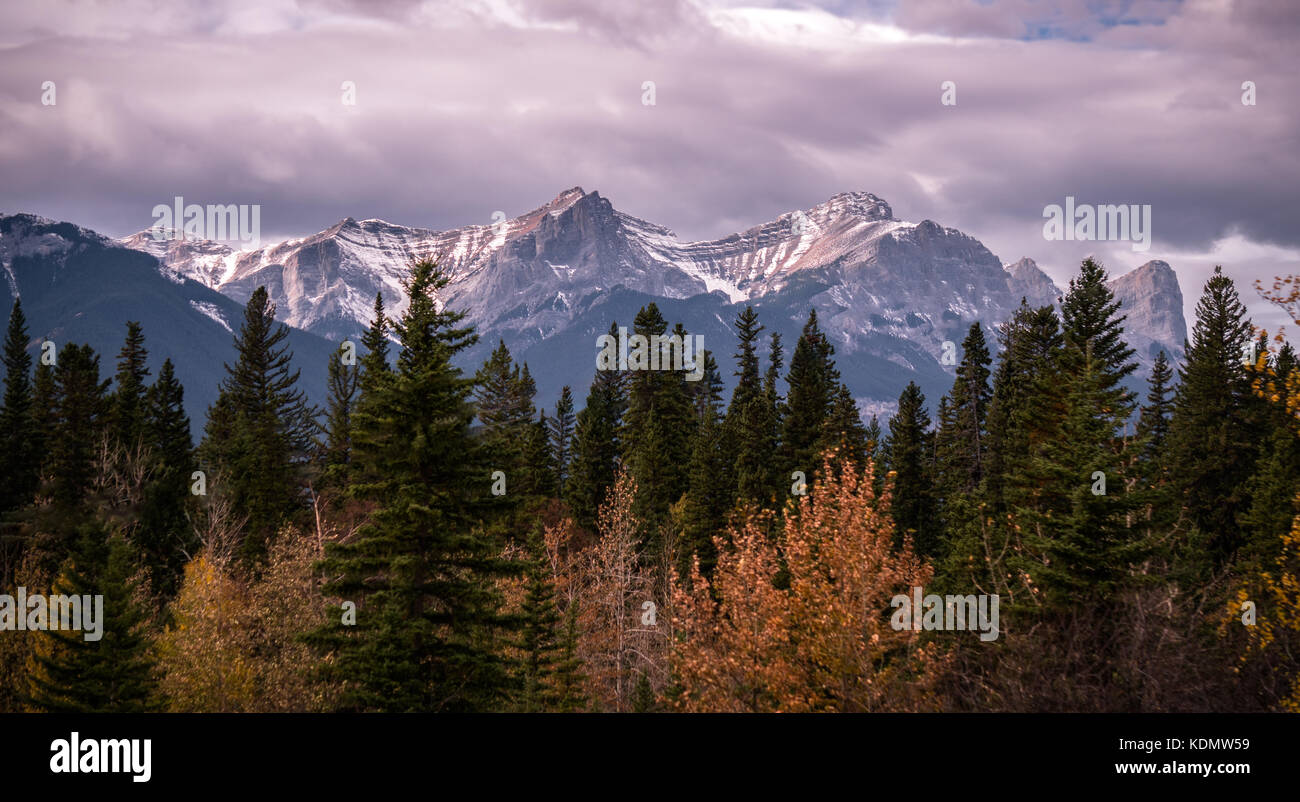 Paysage de montagnes avec de la neige et des arbres avec des couleurs d'automne Banque D'Images