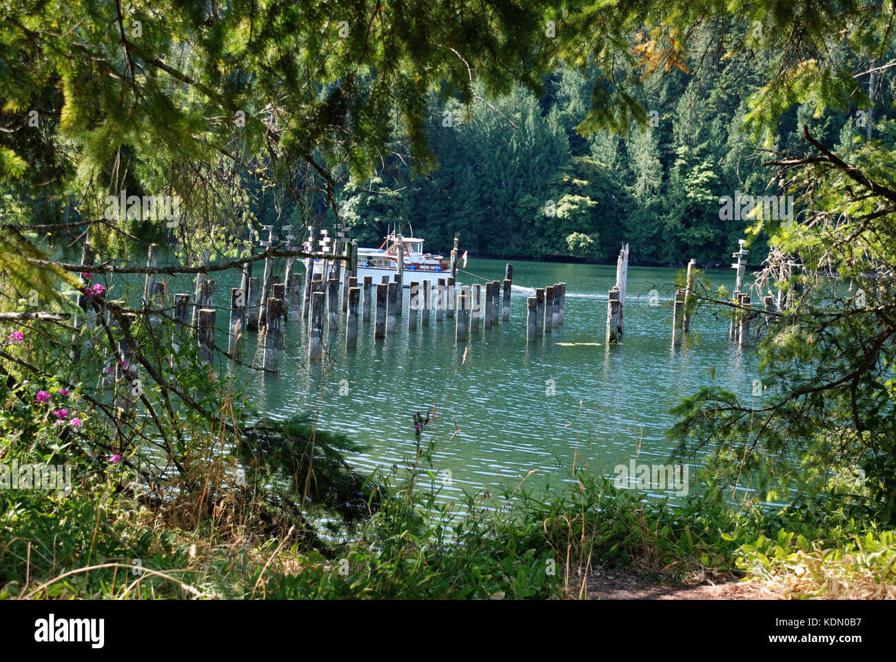 Randonnées près de Witty's Lagoon - l'île de Vancouver, BC, Canada Banque D'Images