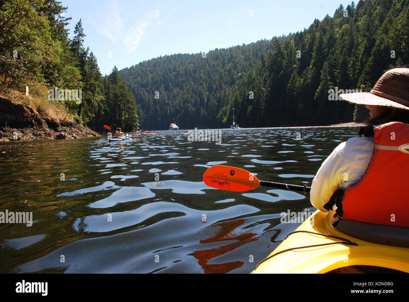 Kayak de mer près de Victoria, b.c., Canada Banque D'Images