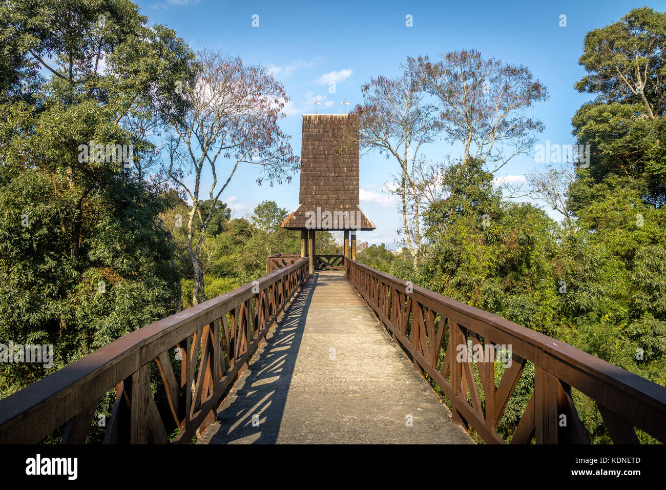 Tour des philosophes à Bosque Alemao (parc forestier allemand) - Curitiba, Parana, Brésil Banque D'Images