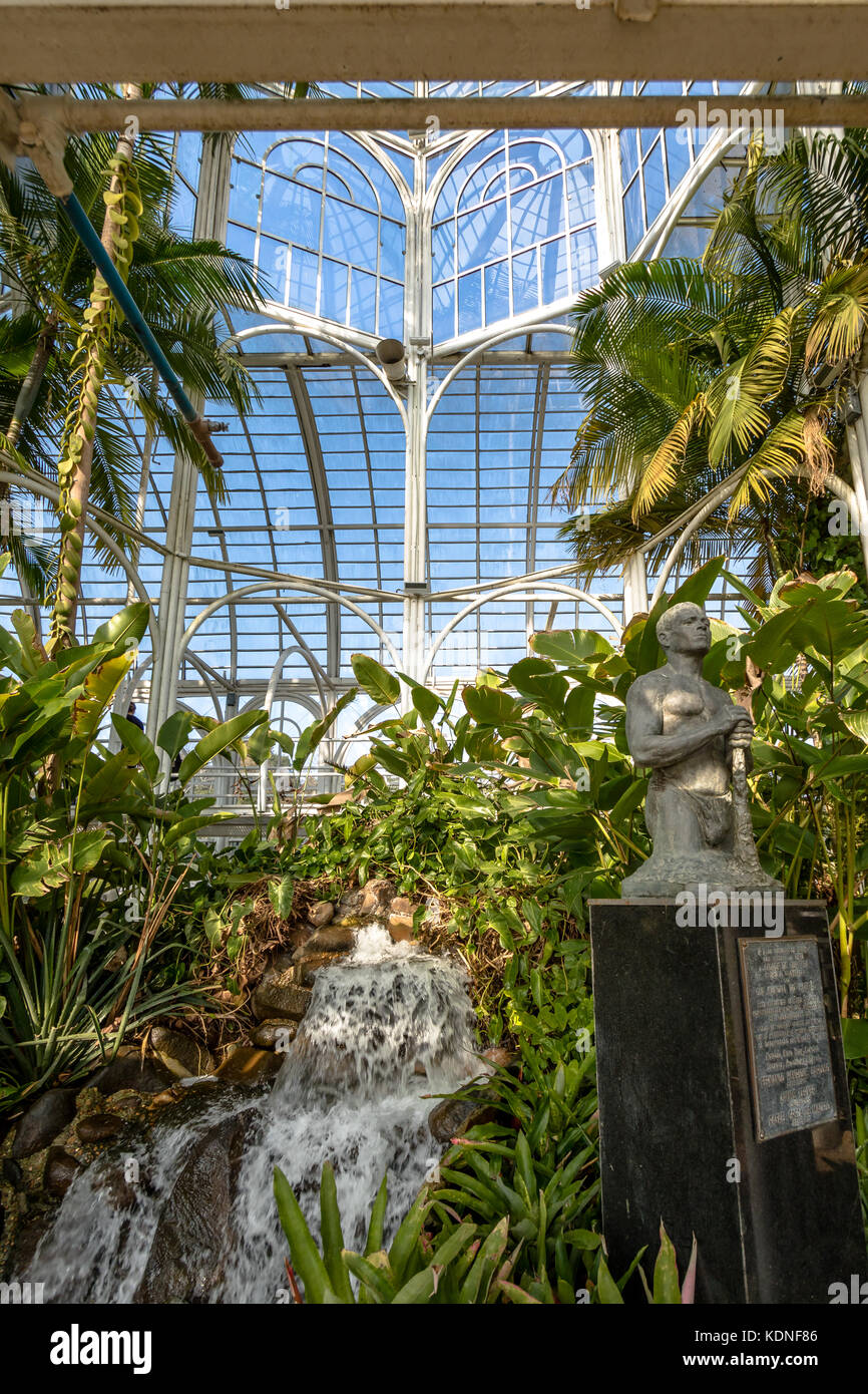 Intérieur de la serre au jardin botanique de Curitiba - Curitiba, Parana, Brésil Banque D'Images