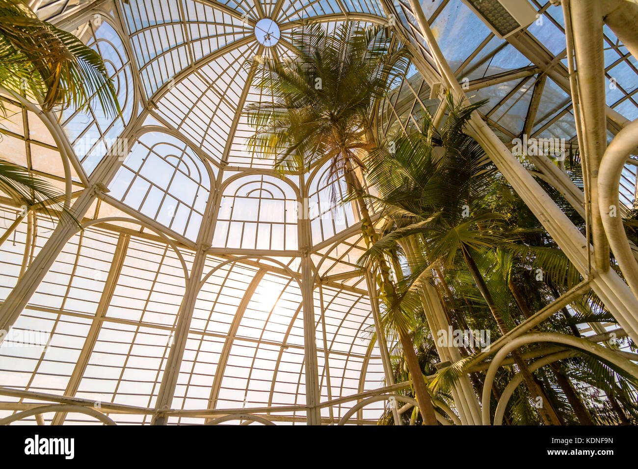 Intérieur de la serre au jardin botanique de Curitiba - Curitiba, Parana, Brésil Banque D'Images