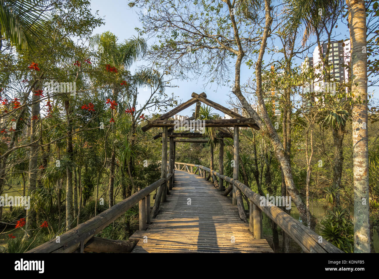 Pont en bois au jardin botanique de Curitiba - Curitiba, Parana, Brésil Banque D'Images