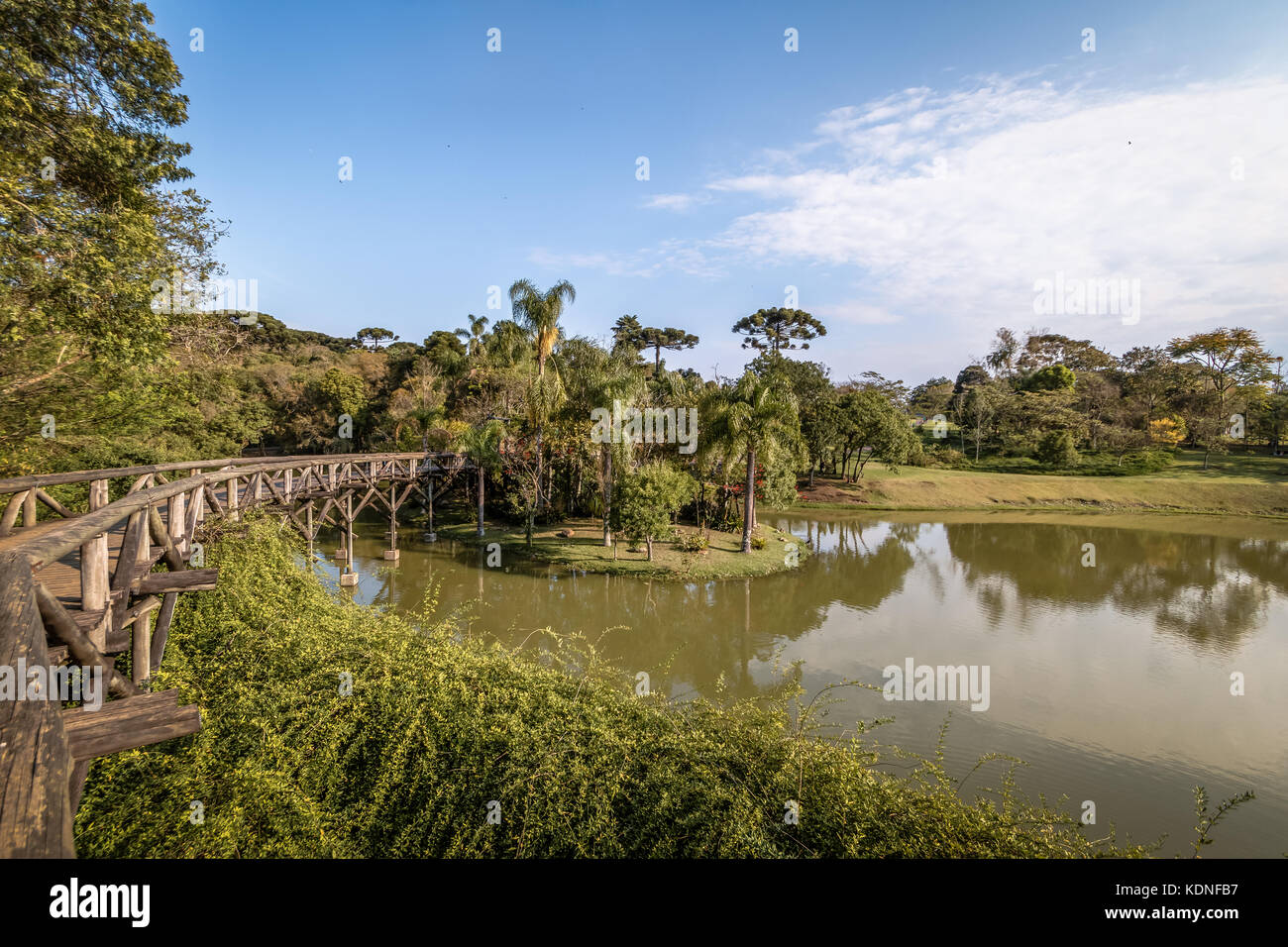 Lac au jardin botanique de Curitiba - Curitiba, Parana, Brésil Banque D'Images