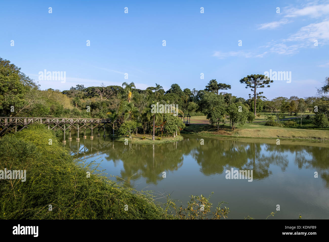 Lac au jardin botanique de Curitiba - Curitiba, Parana, Brésil Banque D'Images