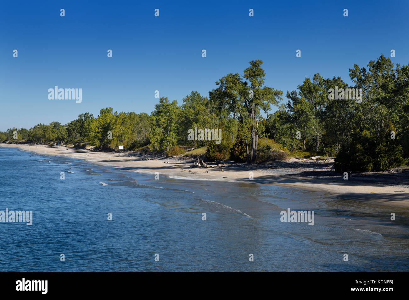 Plage de Sandbanks vide depuis longtemps dans le parc provincial Sandbanks, sur le lac Ontario, Prince Edward County Canada Banque D'Images