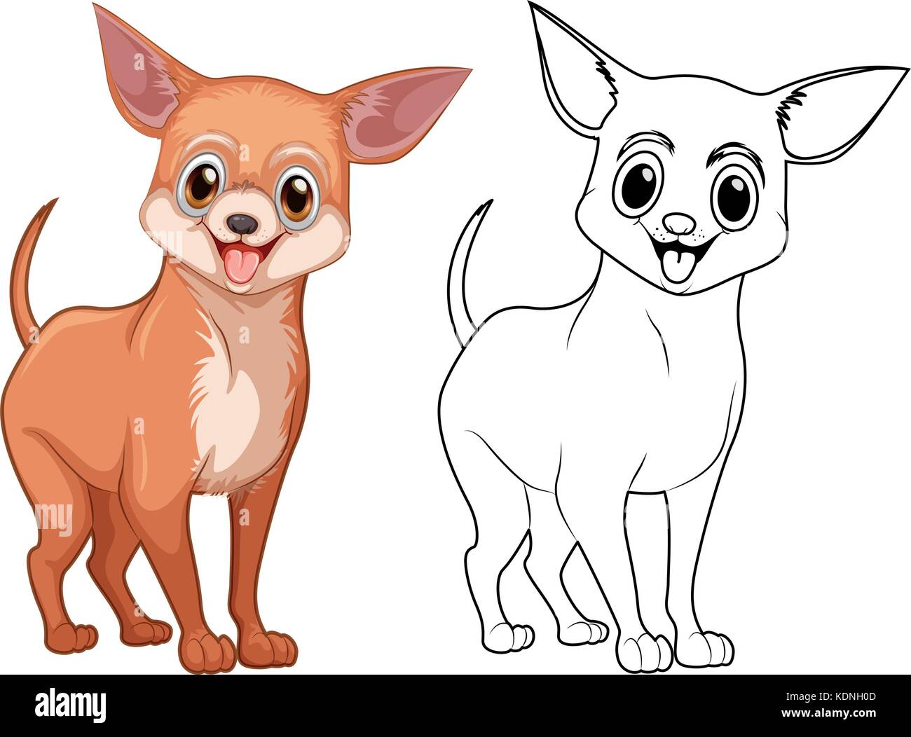 Les grandes lignes d'animaux chien chiwawa illustration Illustration de Vecteur