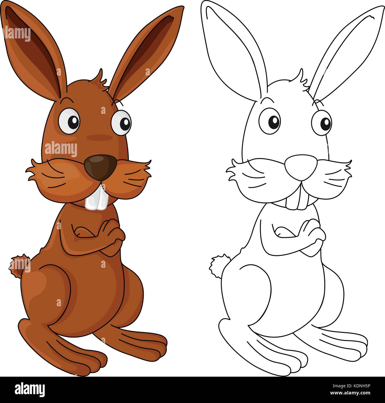 Les grandes lignes d'animaux lapin sauvage illustration Illustration de Vecteur