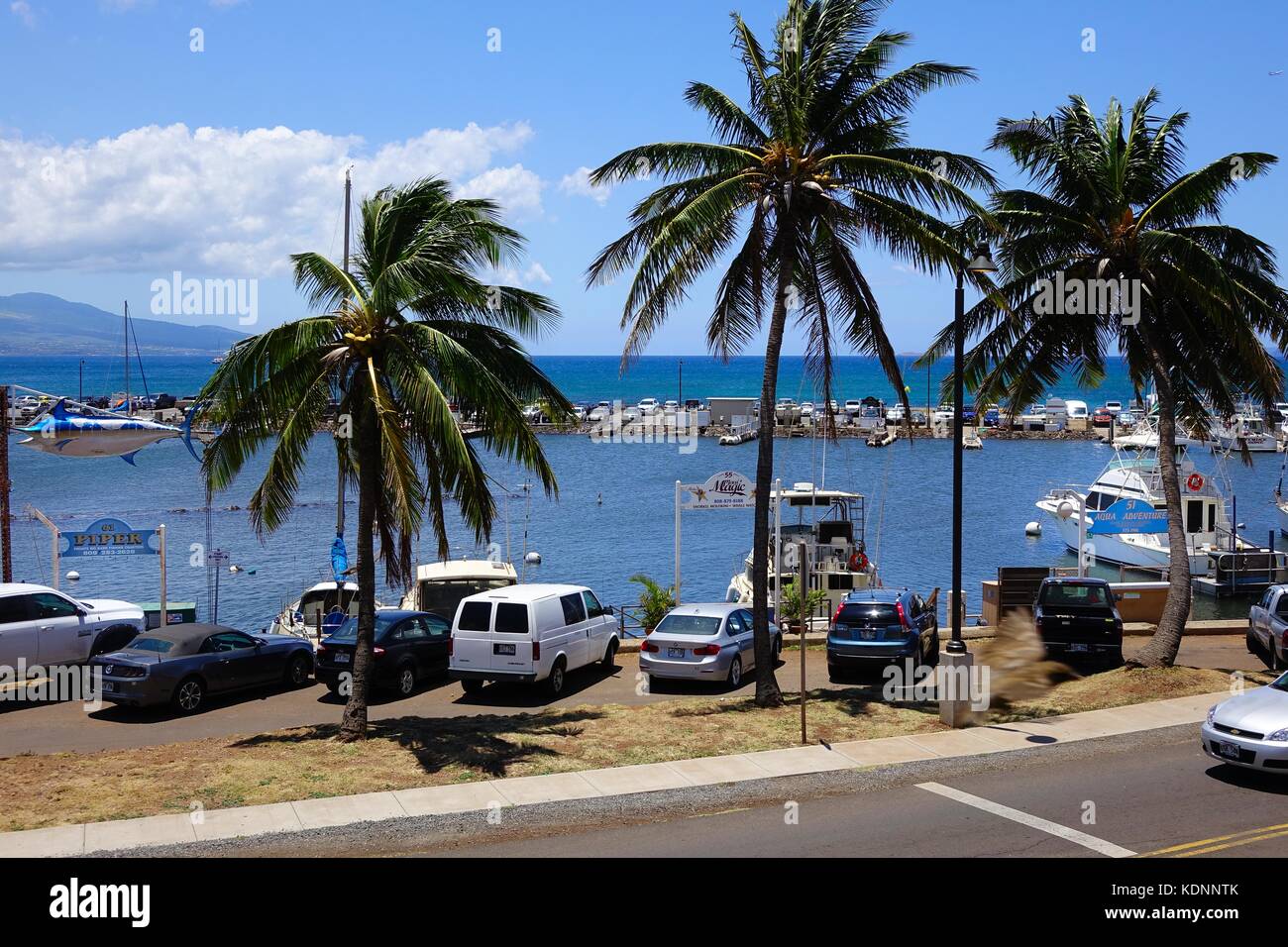 Port de Maalaea, Maalaea Bay, Maui, Hawaii Banque D'Images