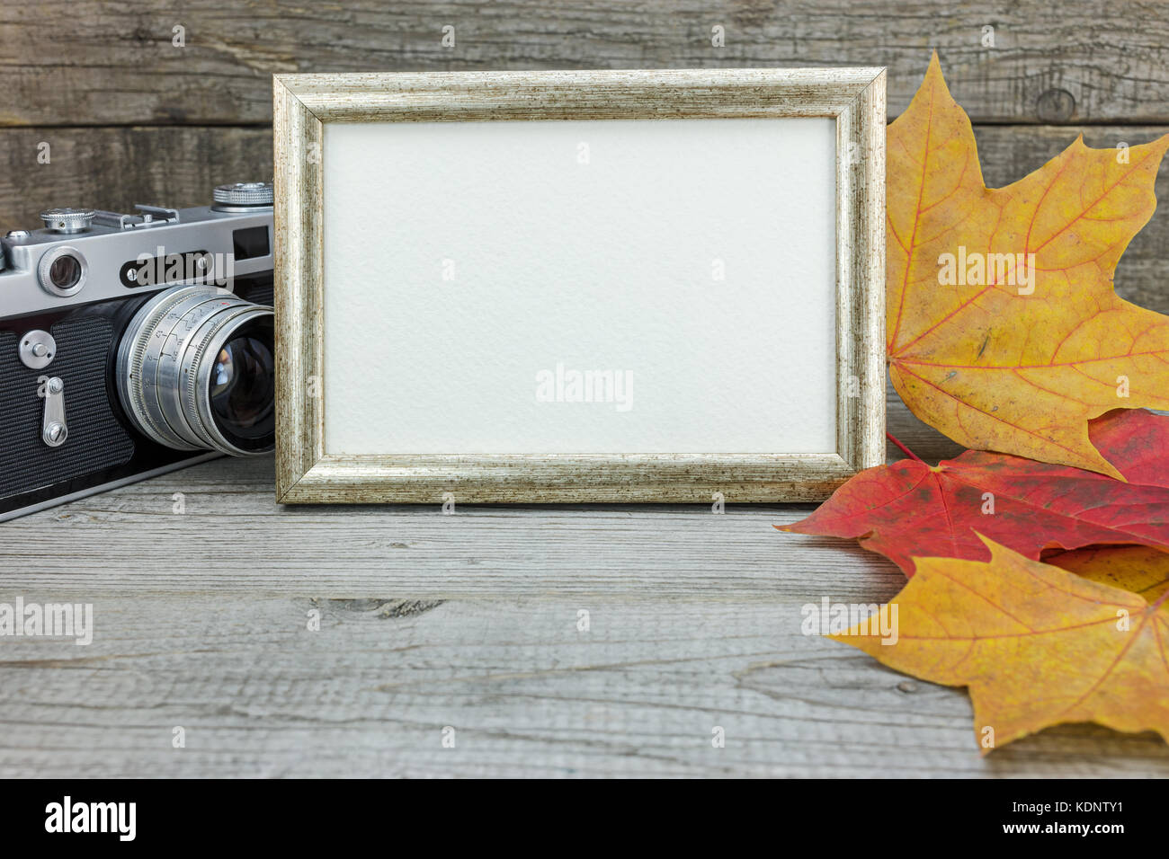 Cadre photo et caméra rétro sur fond de bois avec des feuilles tombées. souvenirs concept. Banque D'Images