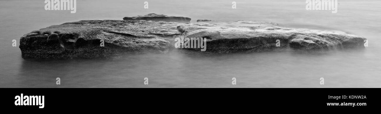 Un étrange, d'étranges dans les eaux brumeuses Banque D'Images