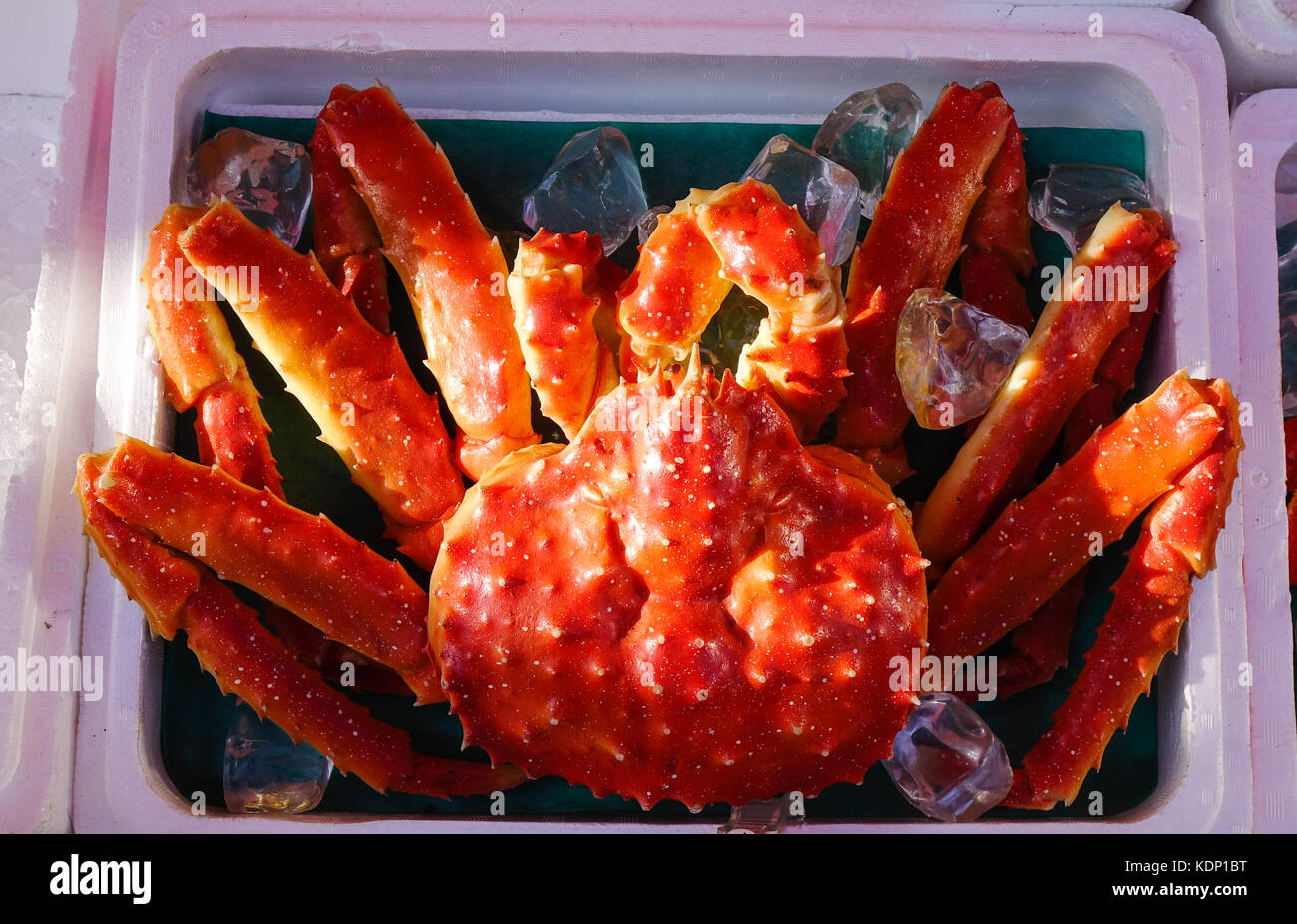 Modèle de King Crabe (plastique) à Hakodate, asaichi marché au Japon. Banque D'Images