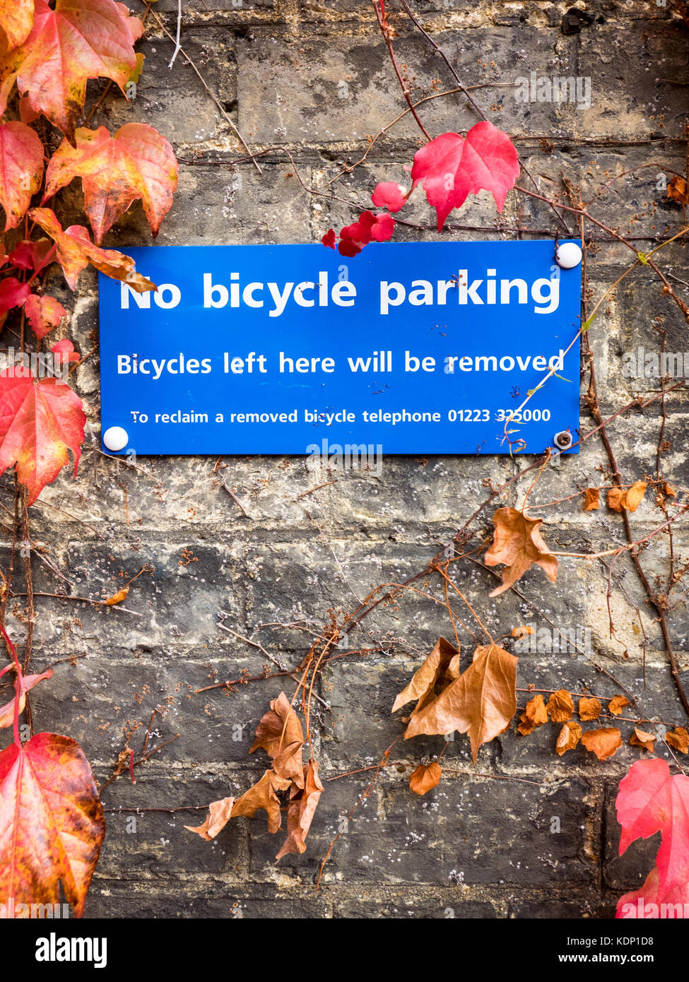 Pas de panneaux de stationnement vélo encadrée par les feuilles d'automne Banque D'Images