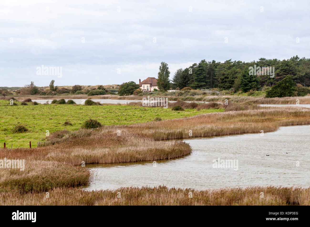 L'Observatoire d'oiseaux sur l'Holme Côte Nord du comté de Norfolk. Banque D'Images