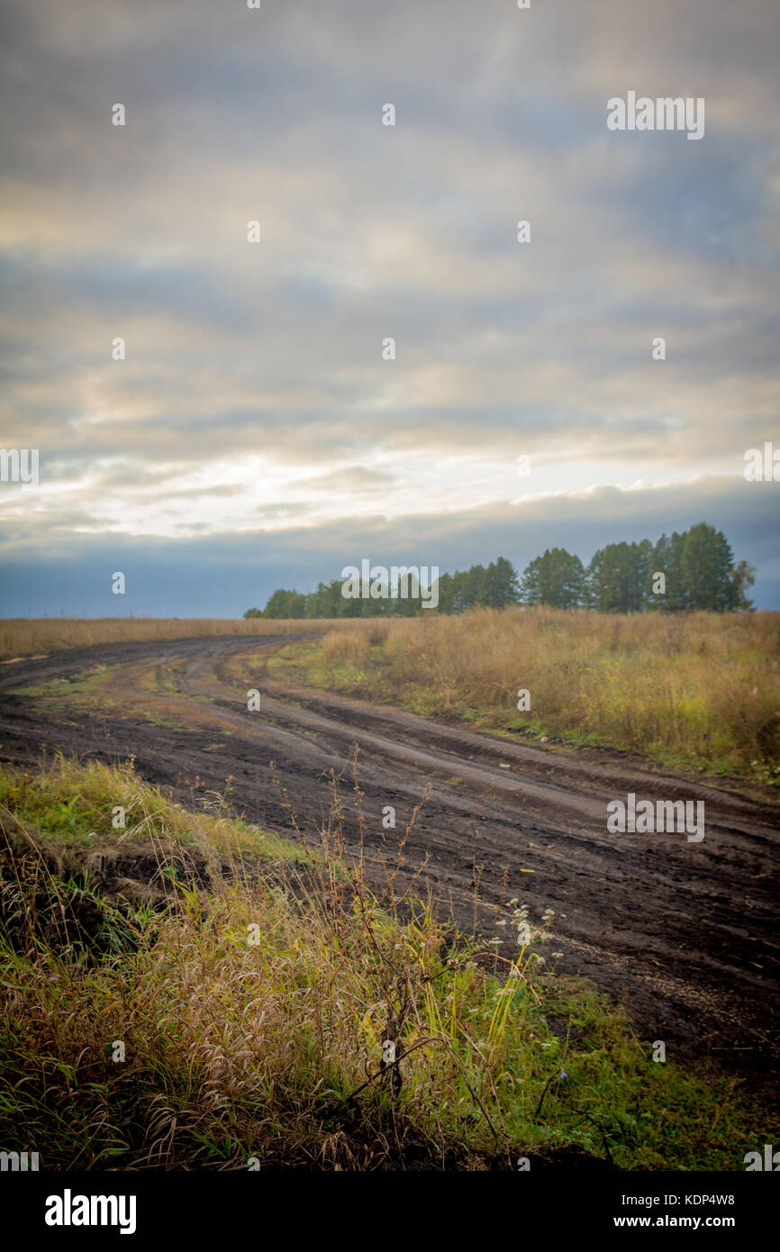 La masse d'automne route dans un champ avec de l'herbe jaune et la plantation à l'horizon sous un ciel sombre avec les nuages de tempête Banque D'Images