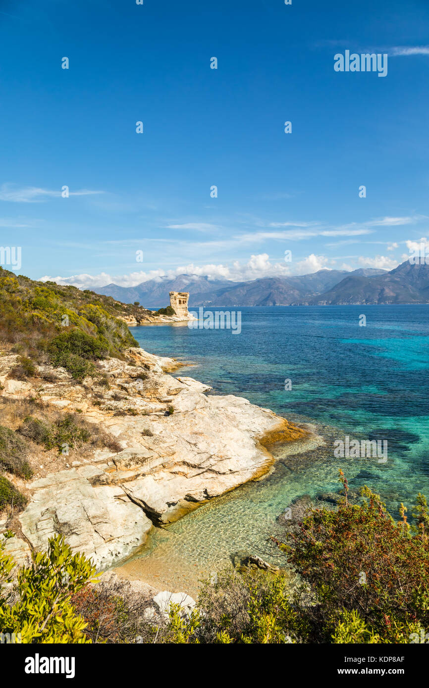 Ruines de la tour génoise de mortella avec une turquoise de la Méditerranée et de la côte rocheuse du désert des agriates, près de St Florent en corse wi Banque D'Images