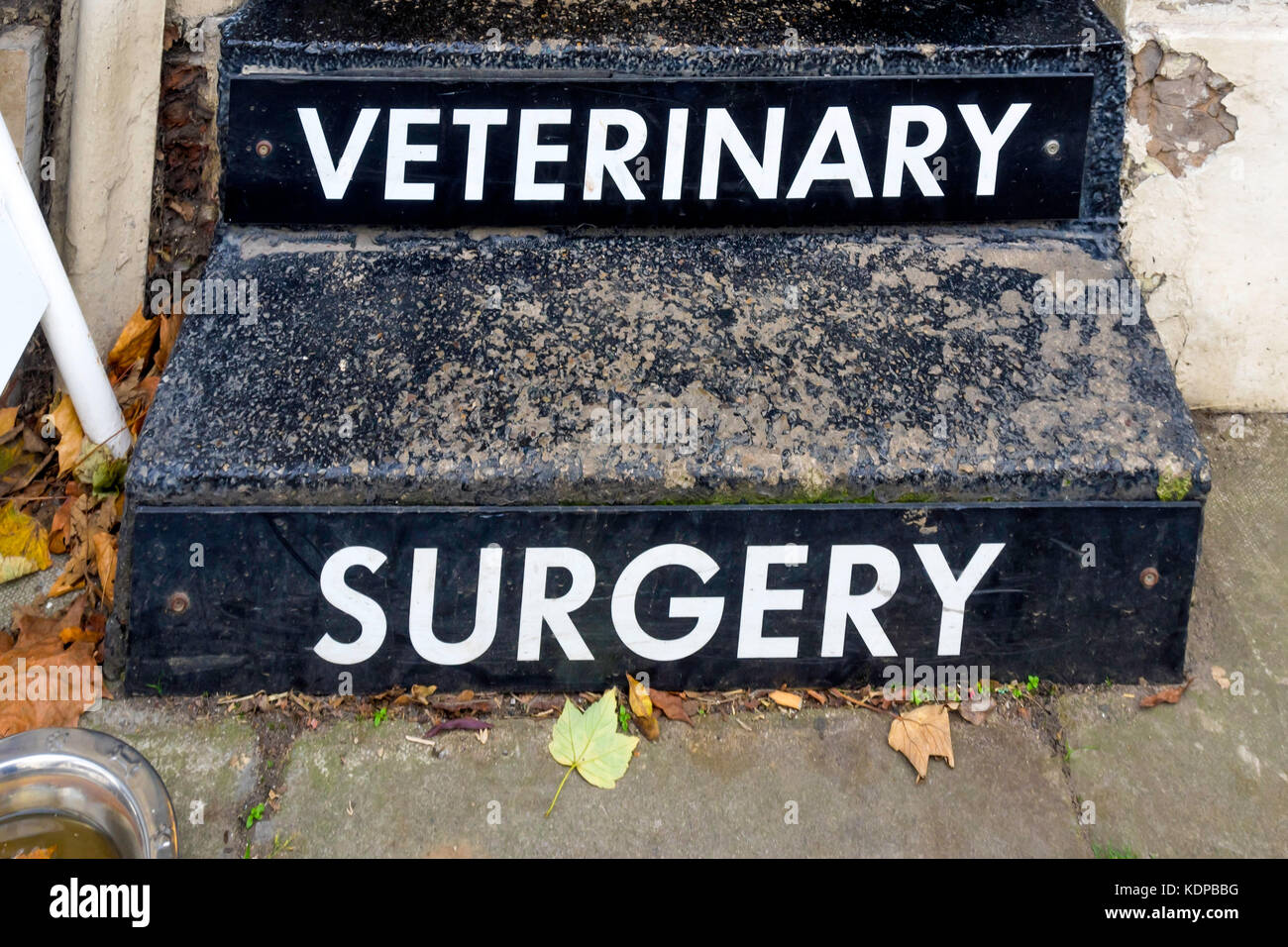 Chirurgie vétérinaire signe sur les cartes d'étapes sur l'entrée avant à la pratique avec les feuilles d'automne Banque D'Images