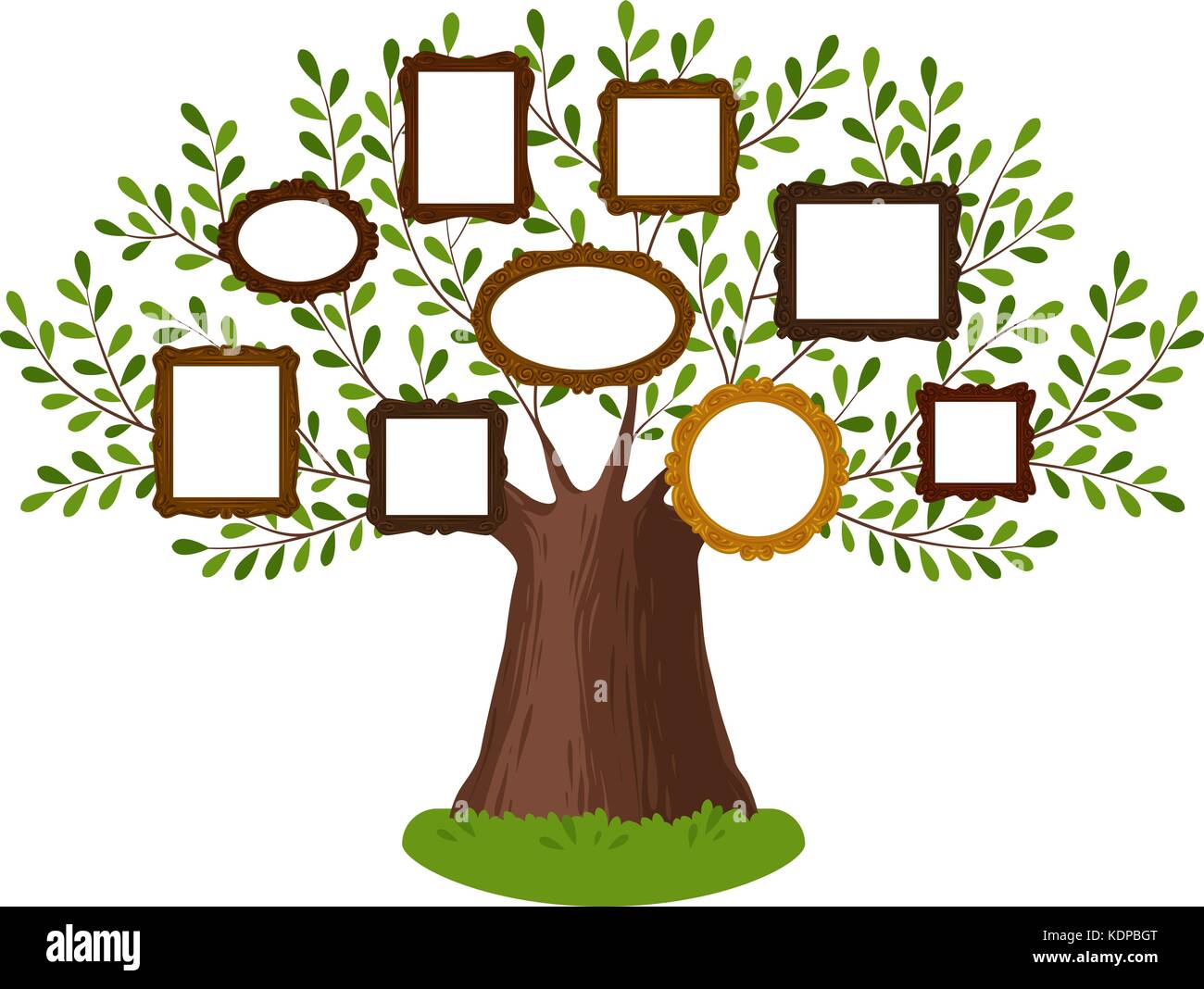 Arbre généalogique généalogique avec cadres. Pedigree, généalogie, lignage, concept de dynastie. Illustration vectorielle Illustration de Vecteur