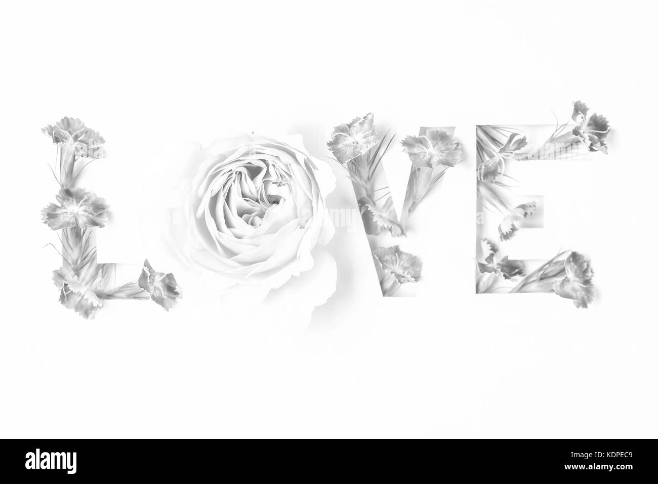 Inscription L'amour avec des fleurs roses Banque D'Images