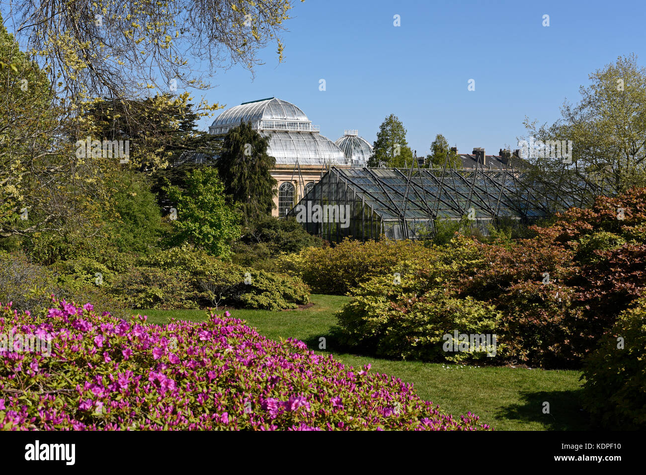 Au printemps le jardin botanique royal d'Édimbourg Banque D'Images