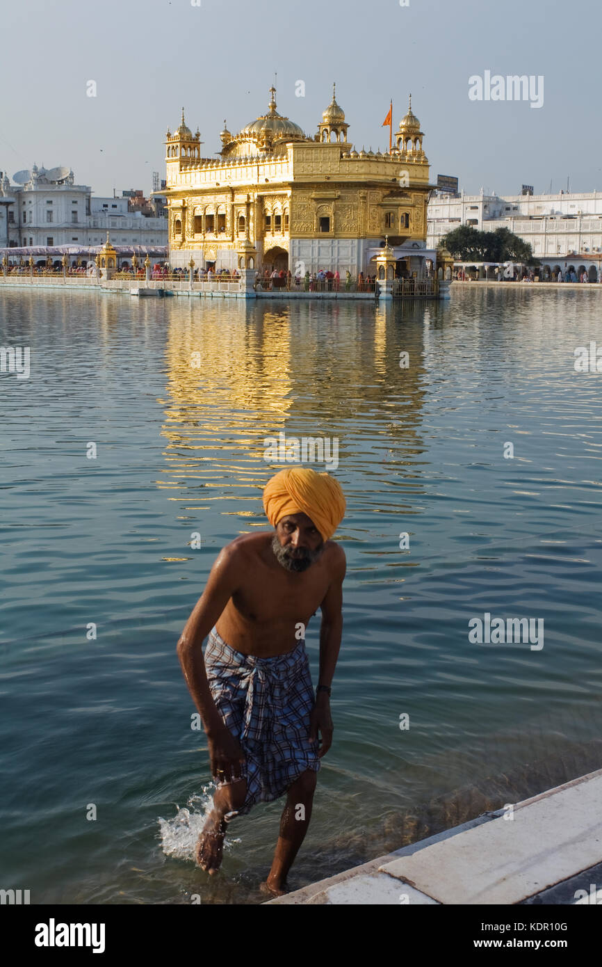 Sikh homme se baignant au Sri Harmandir Sahib ou Temple d'Or à Amritsar, État du Pendjab, Inde Banque D'Images