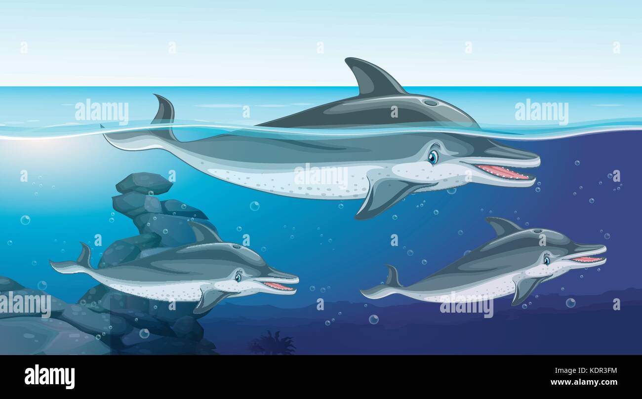 Trois dauphins nager dans l'océan illustration Illustration de Vecteur