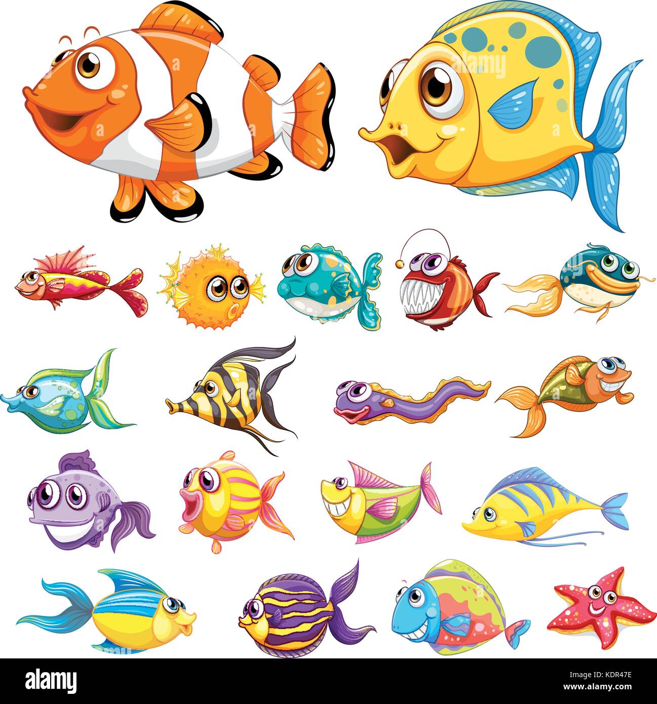 Poisson Sortes Types De Poissons