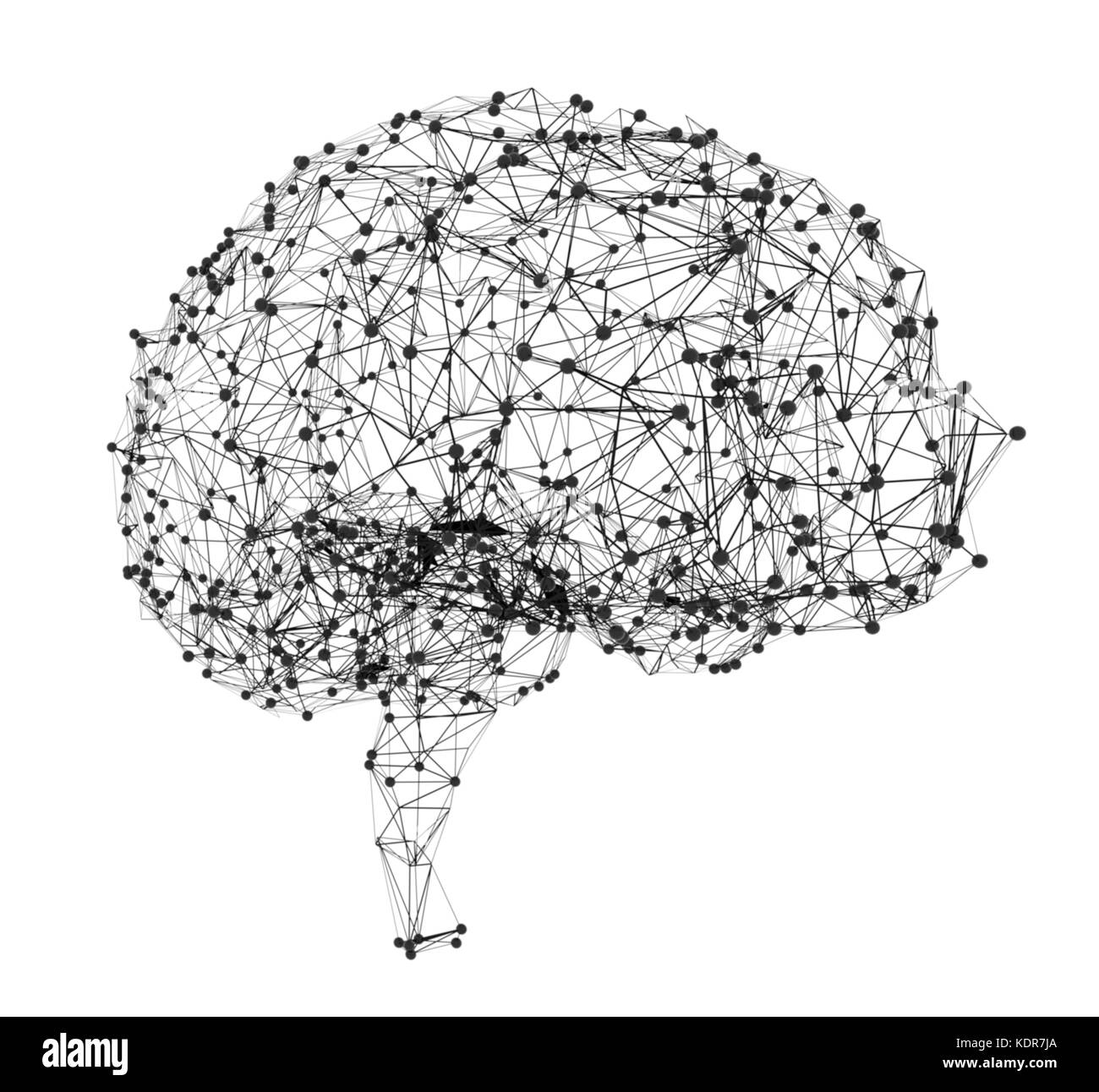 Concept de l'intelligence humaine avec cerveau humain Banque D'Images