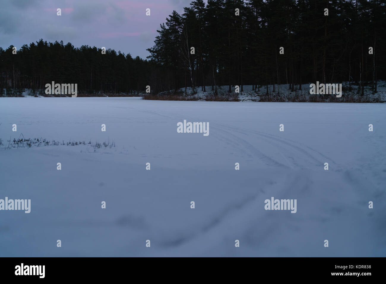 Lac gelé dans une forêt de pins en hiver à soir Banque D'Images