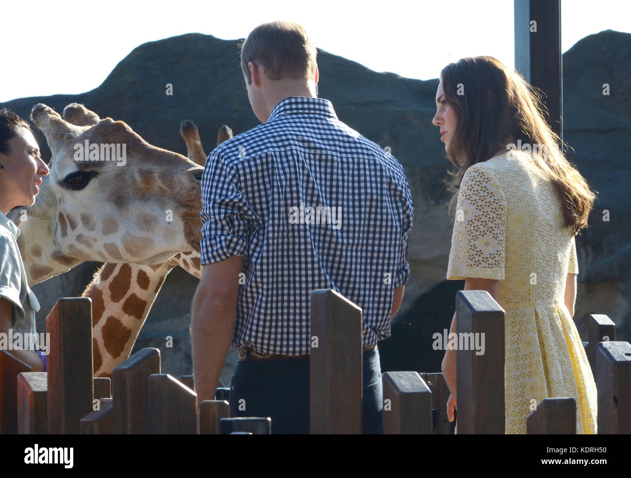 Sydney, AUSTRALIE - 20 AVRIL : Prince William, duc de Cambridge et Catherine, duchesse de Cambridge au zoo de Taronga le 20 avril 2014 à Sydney, Australie. Population: Prince William, duc de Cambridge et Catherine, duchesse de Cambridge Réf. Transmission: MNCUK1 crédit: Hoo-Me.com/MediaPunch ***NO UK*** Banque D'Images