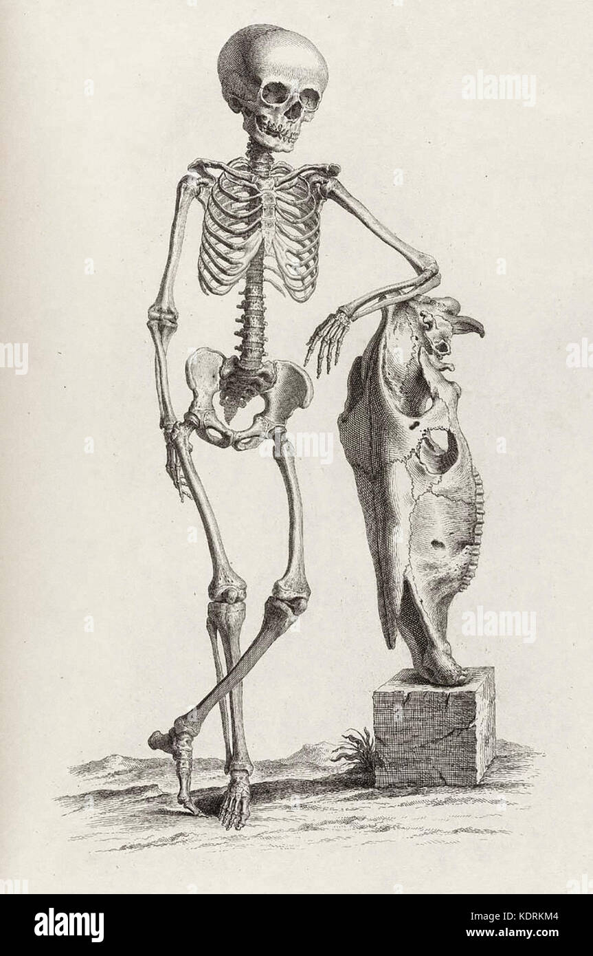 Un squelette d'un homme se penchant sur ce qui semble être le squelette d'un poisson Banque D'Images