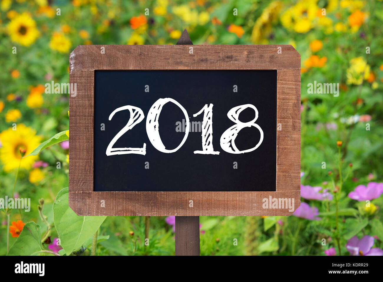 2018 écrit sur un panneau en bois, tournesol et fleurs sauvages dans l'arrière-plan Banque D'Images