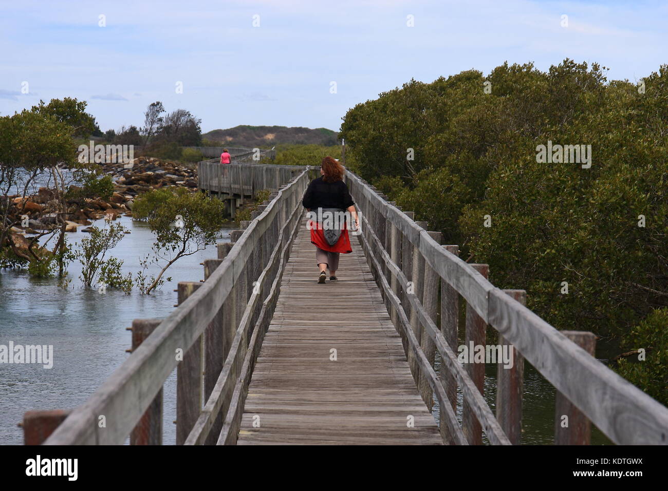 Une femme marche le long de la longue d'un kilomètre le long de la promenade urunga bellingen rivière menant à l'océan, en passant par le palétuvier. Banque D'Images