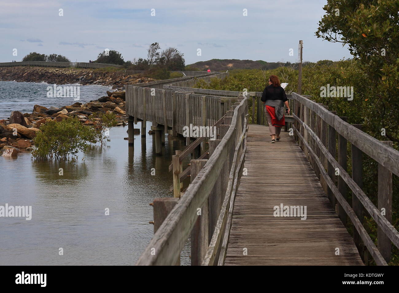 Une femme marche le long de la longue d'un kilomètre le long de la promenade urunga bellingen rivière menant à l'océan, en passant par le palétuvier. Banque D'Images