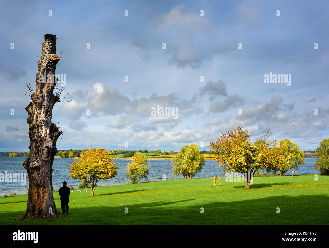 L'homme se tient en outre un lopped, arbre mort sur une journée ensoleillée d'automne près de la rive du lac. Banque D'Images