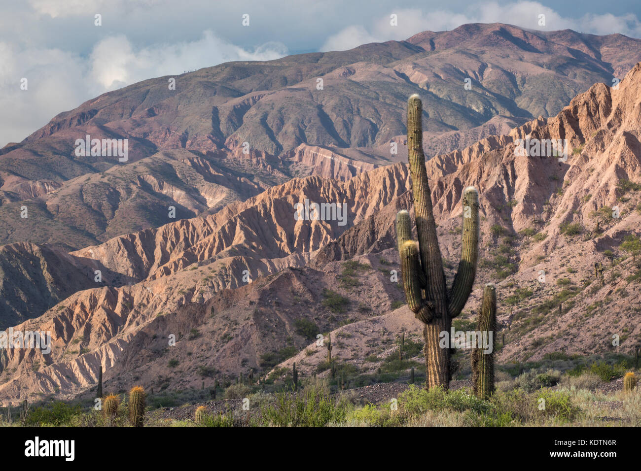 La première lumière sur les collines de la quebrada de humahuacha nr maimara, province de Jujuy, Argentine Banque D'Images