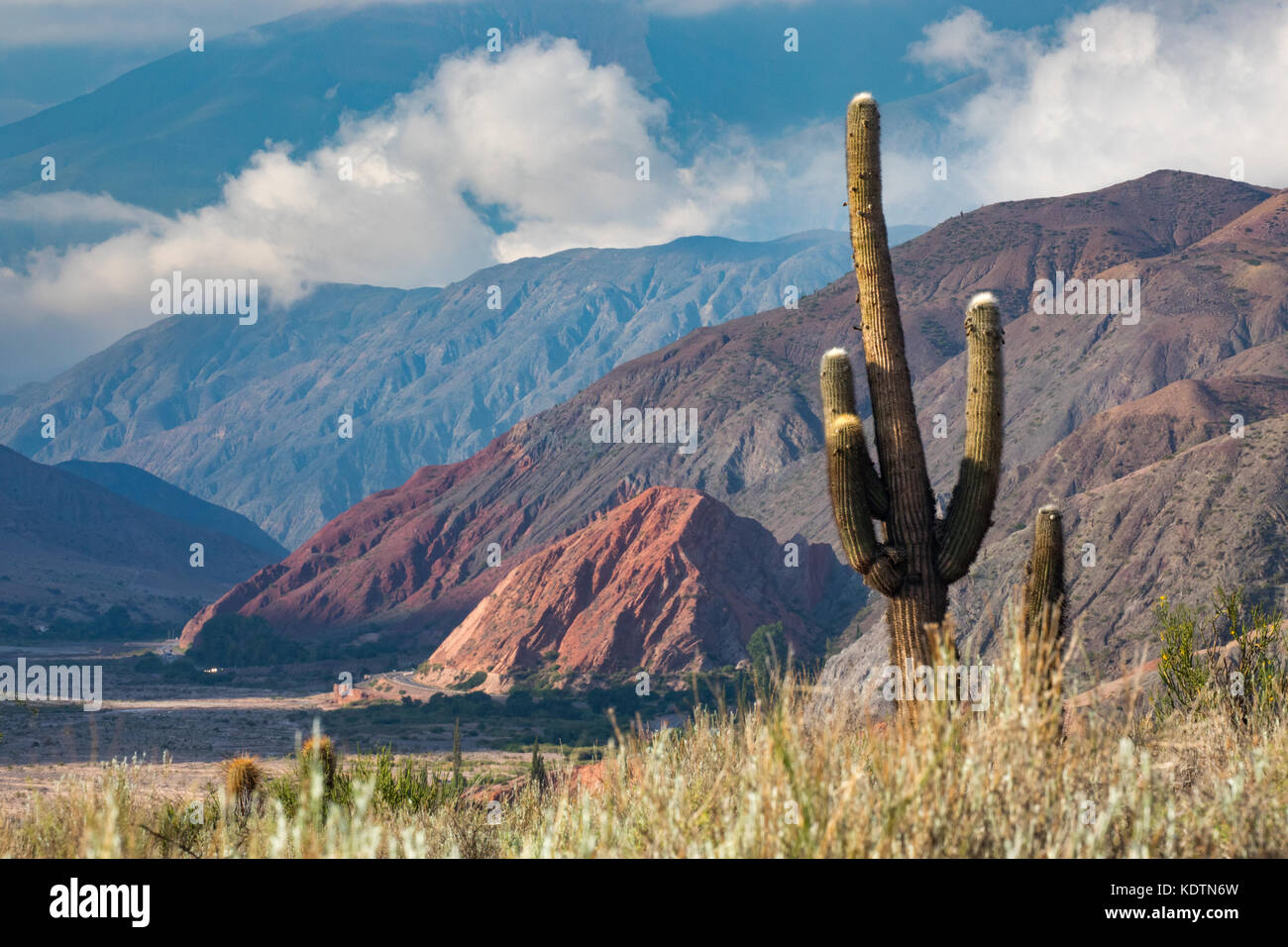 La première lumière sur le cactus et les collines de la quebrada de humahuacha nr maimara, province de Jujuy, Argentine Banque D'Images