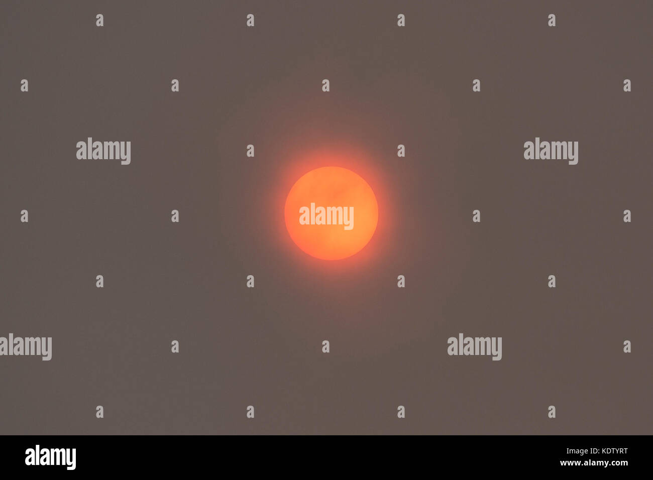 Uttoxeter, Staffordshire, Royaume-Uni. 16 oct, 2017. uk météo : le soleil est obscurci par les nuages causés par l'ex-ophelia, créant une lueur orange lumineux vu à travers tout le pays. ophelia, un ouragan de l'Atlantique de faire son chemin au nord-est dans le royaume uni et l'Irlande, est une tempête tropicale frappe l'Irlande et l'ouest de la France avec des vents forts et de la pluie. crédit : Richard Holmes/Alamy live news Banque D'Images Uttoxeter, Staffordshire, Royaume-Uni. 16 oct, 2017. uk météo : le soleil est obscurci par les nuages causés par l'ex-ophelia, créant une lueur orange lumineux vu à travers tout le pays. ophelia, un ouragan de l'Atlantique de faire son chemin au nord-est dans le royaume uni et l'Irlande, est une tempête tropicale frappe l'Irlande et l'ouest de la France avec des vents forts et de la pluie. crédit : Richard Holmes/Alamy live news Banque D'Images