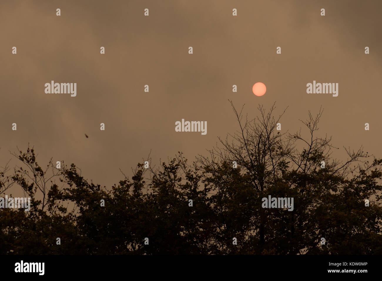 Soleil de midi rouge bizarre que storm ophelia - approches, SUTTON COLDFIELD West Midlands Banque D'Images