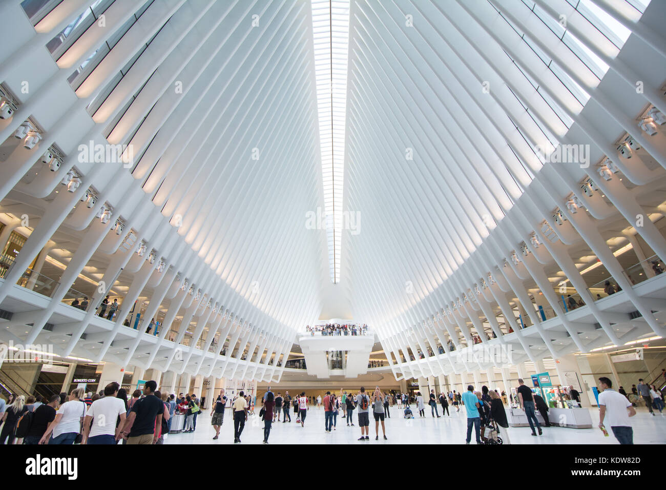 L'impressionnante architecture de l'Oculus au World Trade Center transportation hub à New York, United States Banque D'Images