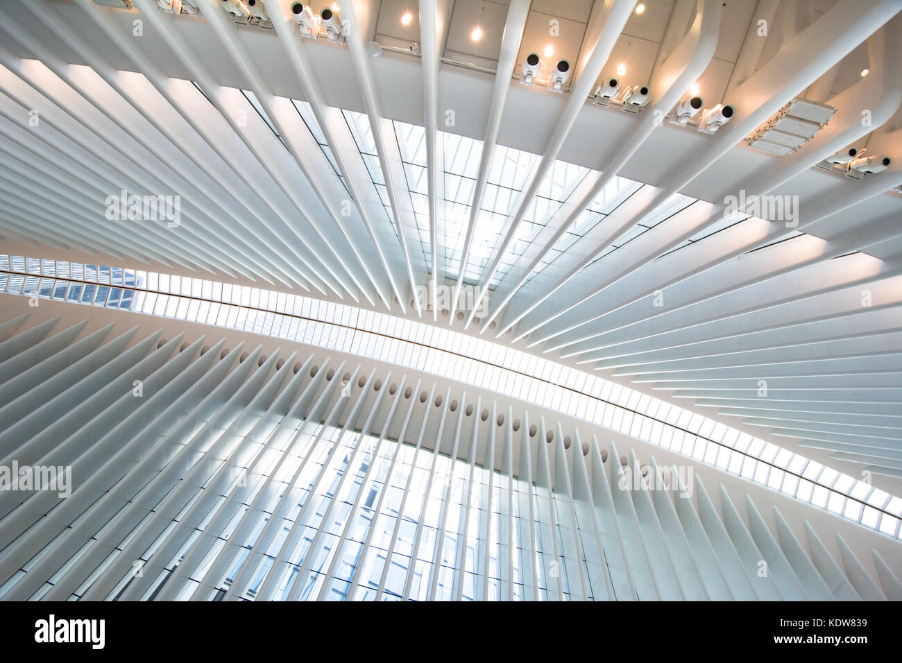 L'impressionnante architecture de l'Oculus au World Trade Center transportation hub à New York, United States Banque D'Images
