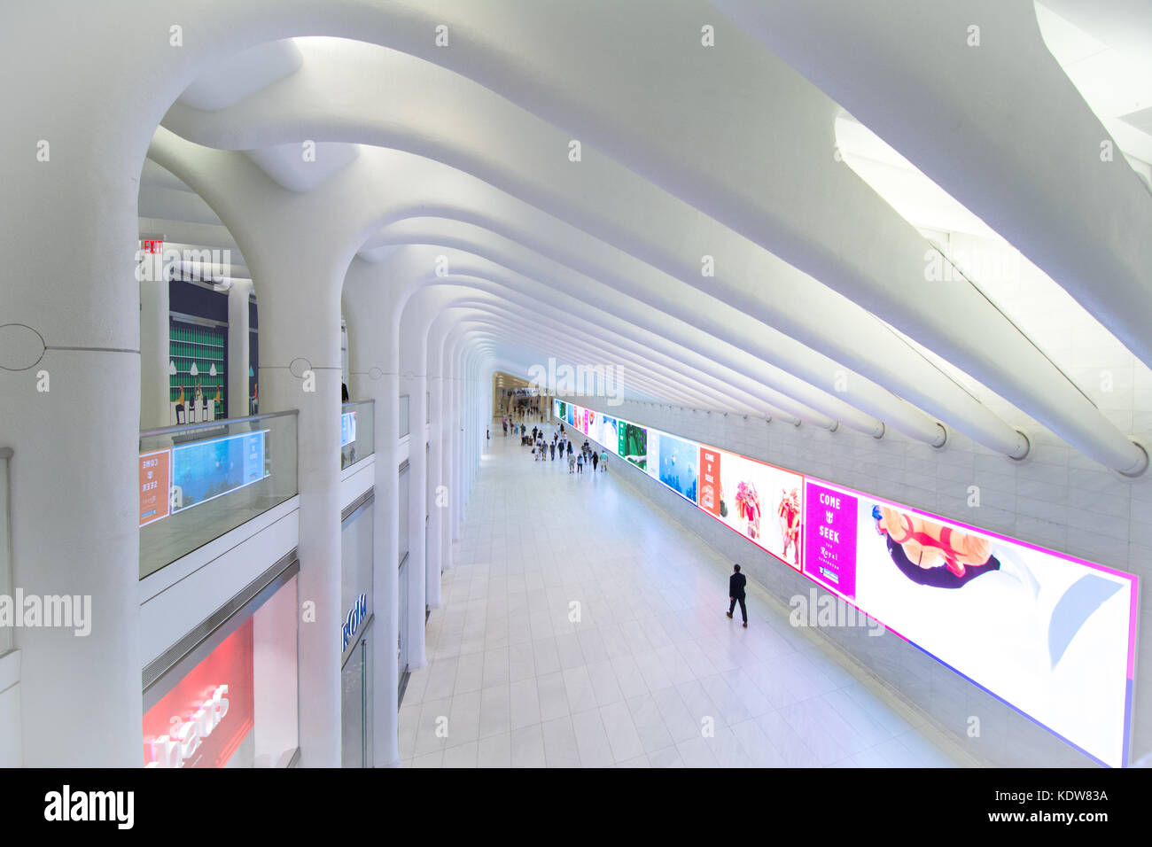 L'impressionnante architecture de l'Oculus au World Trade Center transportation hub à New York, United States Banque D'Images