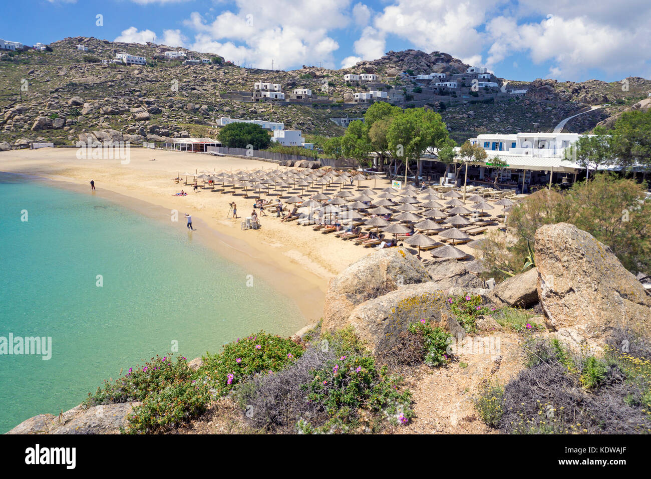 Super Paradise beach, plage populaire au sud de Mykonos, Cyclades, Mer Égée, Grèce, Europe Banque D'Images