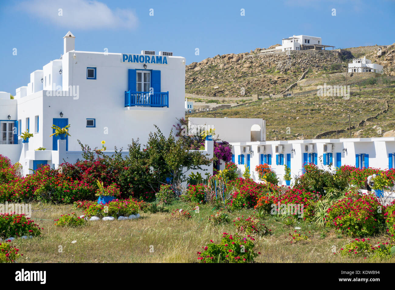 Panorama Hotel am blumenpracht nahe dem neuen hafen von mykonos, Canaries, aegaeis, Griechenland, mittelmeer, europa | fleurs colorées au panora Banque D'Images