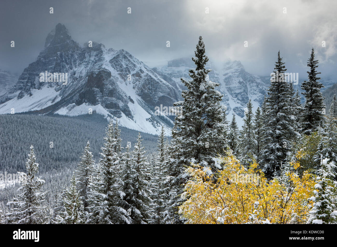 La première neige de l'hiver dans la vallée des Dix-Pics, Banff National Park, Alberta, Canada Banque D'Images