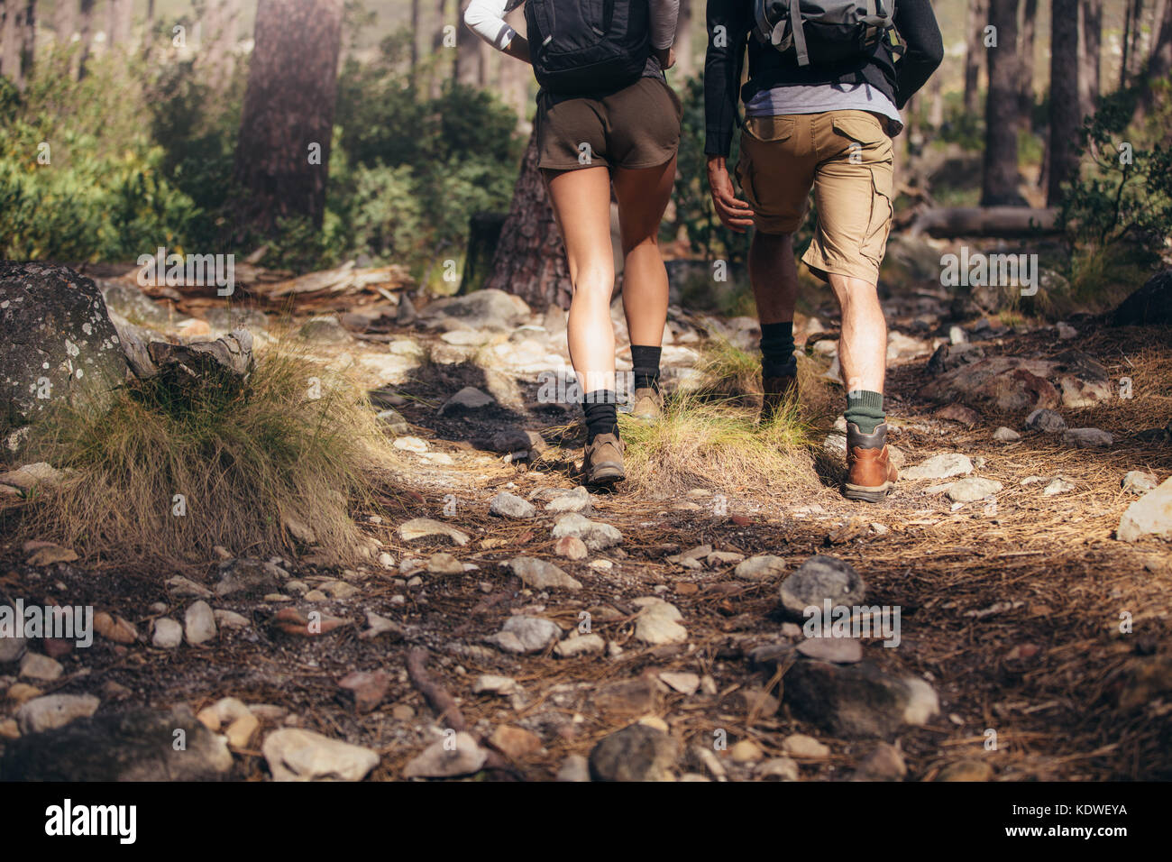 Vue arrière de l'homme et de la femme les randonneurs randonnée un sentier rocheux en forêt. Explorer la nature couple randonneur marchant à travers les bois. Banque D'Images